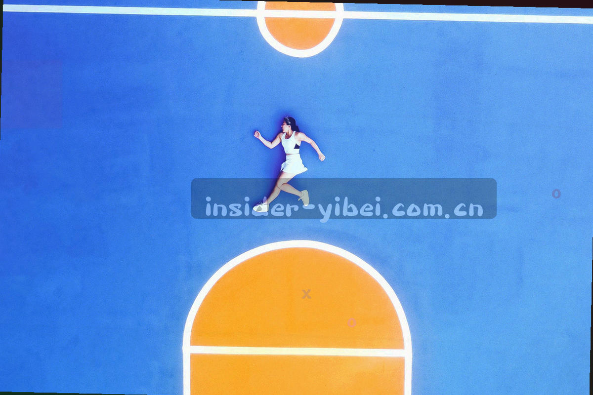 替代访问路径与完整版功能对照示意图，阵容、伤停与主客场表现三类内容保留，折叠资讯流与标签切换以暗红标记为不可用